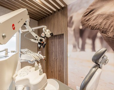 Zakres świadczonych usług